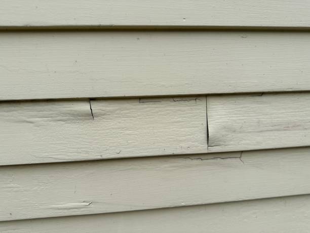 Best Siding for New Construction  in Dickson, TN